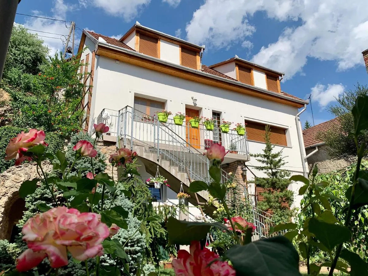 Hollo Vendeghaz Hotel Eger